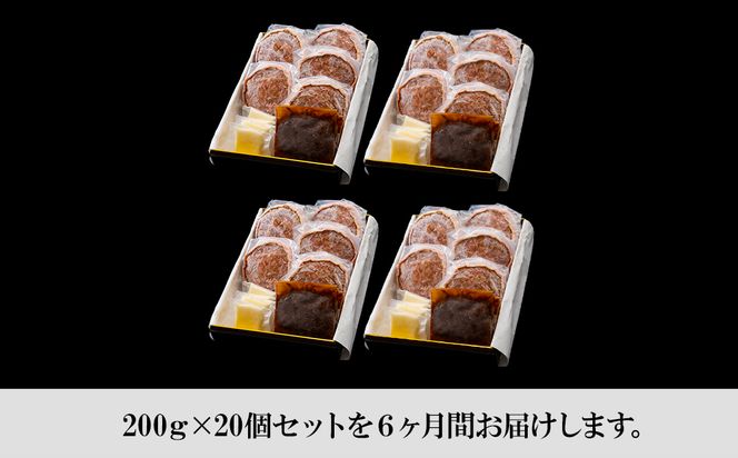 定期便6カ月 お楽しみ 白老牛 Ｗチーズ ハンバーグ セット 20個 モッツァレラ 特製ソース ベーコン 手造り BY095