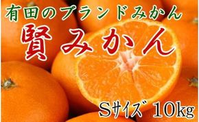 [秀品]有田のブランド「賢みかん」10kg(Sサイズ)【2024年11月中旬頃より順次発送】BZ011