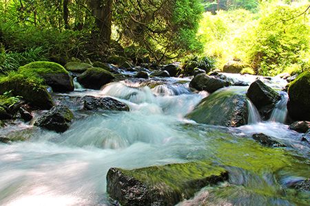 い・ろ・は・す（いろはす）阿蘇の天然水 2L 計12本 2L ×6本 2ケース 水 軟水 ナチュラルミネラルウォーター コカコーラ ドリンク ペットボトル 阿蘇 送料無料《7-14日以内に出荷予定(土日祝除く)》---mifune_lcl_8_12i---