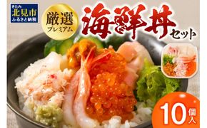 厳選！プレミアム海鮮丼セット10個入 ( うに ウニ 雲丹 貝 かい 海鮮丼 海鮮 魚介類 丼 プレミアム セット ふるさと納税 )【094-0044】