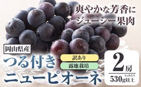 【先行予約】 岡山県産 訳ありつる付きニューピオーネ 2房 530g以上 葡萄 果物 厳選出荷 スイーツ フルーツ デザート 岡山県矢掛町《9月上旬-10月末頃に出荷予定(土日祝除く)》 種なしぶどう【配送不可地域あり】---osy_chbf24_af9_25_16500_2---