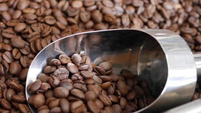 【 3ヶ月 連続 定期便 】 ドリップコーヒー バッグ ( 20個 ) 詰め合わせ 計60点 コーヒー 珈琲 ドリップパック 自家焙煎 ブレンド おいしい 美味しい お取り寄せ セット お土産 プチギフト 贈り物 贈答 お祝い 記念日 ギフト 茨城 頒布会 定期 [BN024us]