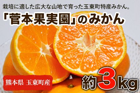 『菅本果実園』のみかん★約3kg(2S-Lサイズ) フルーツ 秋 旬[日付指定不可] ★熊本県玉名郡玉東町 全国にファン多数!エコファーマー菅本さんのみかん『菅本果実園』[11月中旬-12月末頃出荷]---sg_sugamikan_bc11_25_10500_3kg---