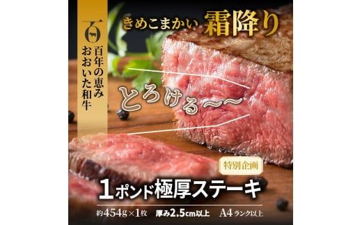 【A4～A5等級】まさに肉のエアーズロック〃おおいた和牛１ポンド極厚ステーキ_29365A
