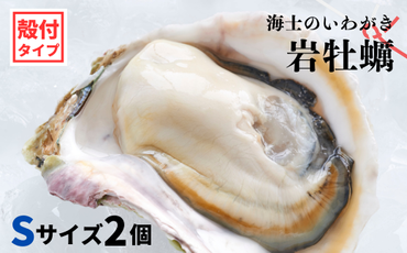 【のし付き】海士のいわがき 新鮮クリーミーな高級岩牡蠣 殻付きSサイズ×２個