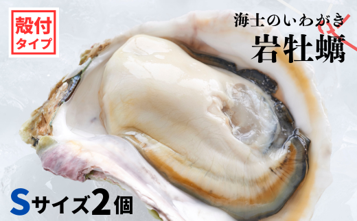 のし付き】海士のいわがき 新鮮クリーミーな高級岩牡蠣 殻付きSサイズ×２個（島根県海士町） | ふるさと納税サイト「ふるさとプレミアム」