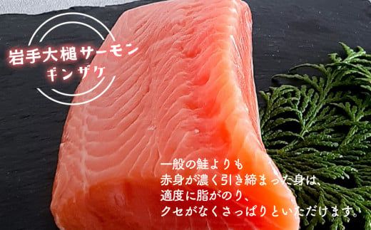 岩手大槌サーモン ～家族とみんなで。～ 800g｜サーモン国産 刺身 刺身冷凍 小分け サーモン 冷凍 岩手県大槌町【0tsuchi01311】