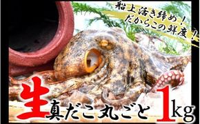 船上活き締め！生たこ丸ごと約1kg（約1～４杯）_1810R