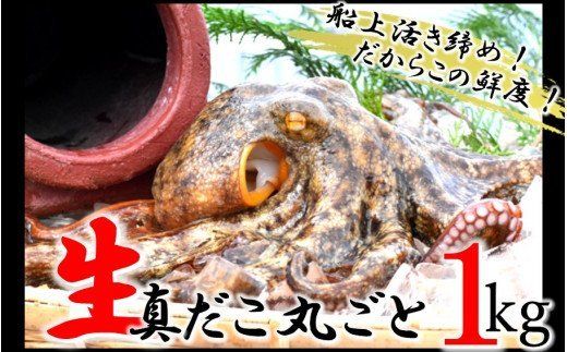 船上活き締め！生たこ丸ごと約1kg（約1～４杯）_1810R