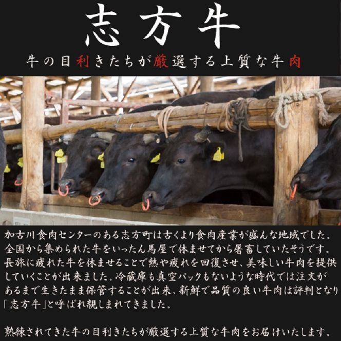 志方牛サーロインステーキ 200g×2枚《 肉 牛肉 牛 志方牛 国産牛 サーロイン ステーキ ステーキ肉 赤身肉 お取り寄せ プレゼント ギフト 送料無料 人気 美味しい 返礼品 おすすめ》【2401A00110】