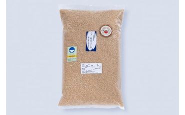 【令和5年産米】新潟岩船産 特別栽培 コシヒカリ 玄米 5kg A4221