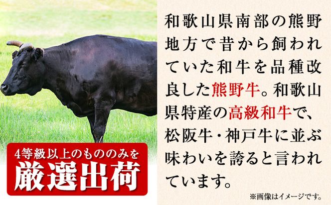 熊野牛A4以上霜降りローススライス 400g 魚鶴商店《90日以内に出荷予定(土日祝除く)》 和歌山県 日高町 熊野牛 黒毛和牛 A4等級以上 霜降り ロース スライス---wsh_fhuo8_90d_23_35000_400g---