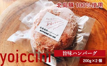 北島豚100％使用！ヨイッチーニ旨味ハンバーグ200g×2個〈ヨイッチーニ〉_Y020-0140