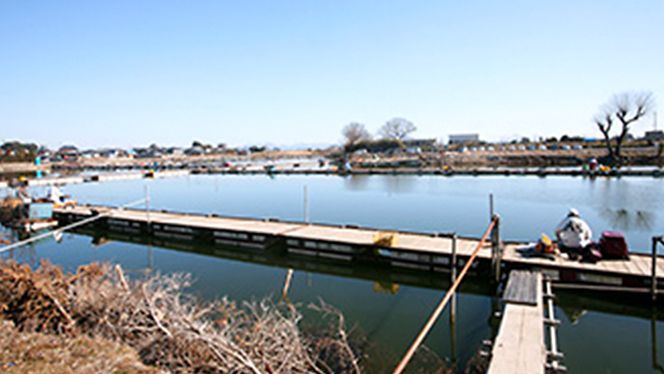 筑波流源湖ヘラブナ釣り回数券（３枚綴り）　[AZ002ya]