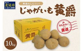 【予約：2026年10月中旬から順次発送】JAきたみらいから直送する新鮮じゃがいも「黄爵」10kg ( 野菜 期間限定 芋 北海道 )【104-0002-2026】