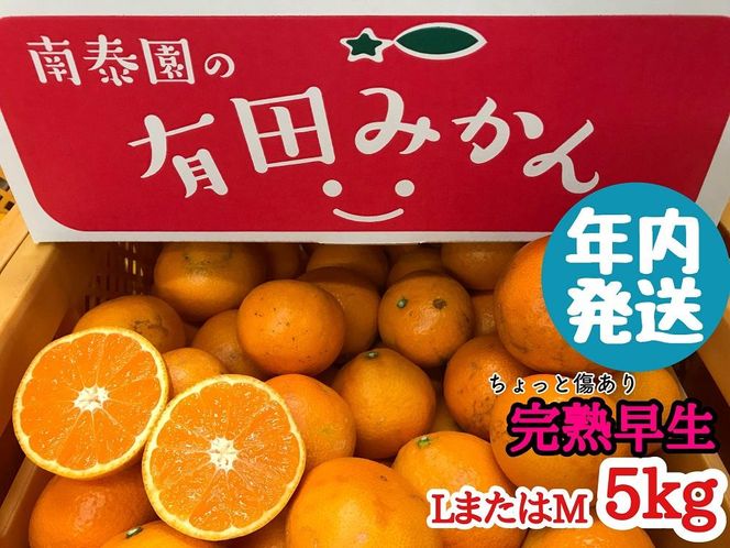年内発送 ちょっと 傷あり 完熟早生 有田みかん L または M 5kg 和歌山 南泰園 みかん BS646