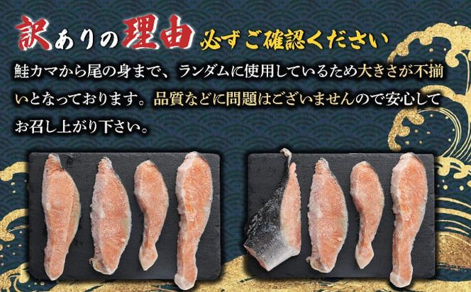 《訳あり》一汐シャケ 厚切り銀鮭切り身 2.0kg