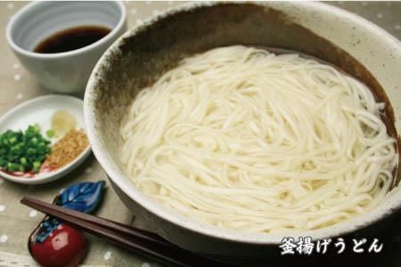 さっとできてさっと食べられる ささっとうどん 20入 【麺 うどん 佐賀県産 簡単】(H014136)