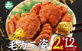 3335. 毛蟹 2尾 計1.2kg前後 食べ方ガイド・専用ハサミ付 カニ かに 蟹 海鮮 ボイル 送料無料 北海道 弟子屈町