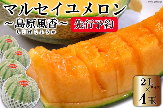 BD203【令和8年度出荷分】マルセイユメロン～島原風香～（2L×4玉） [農事組合法人　『舞岳の里』生産組合 長崎県 島原市 BD203] メロン 赤肉 果物 くだもの フルーツ 産地直送