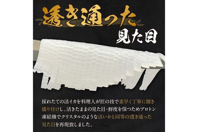 甘み絶大♪簡単♪すぐに食べられる／京丹後産『海の京都』の逸品！！　活白イカ姿造り（クリスタル白いか）超特大サイズ 1杯（500g前後）（2024年6月上旬～発送）　YK00163