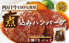 R5-400．幻のメス牛 四万十牛100％使用ジューシーな煮込みハンバーグ5個