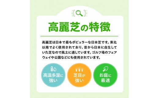 老舗日向芝産「高麗芝」2平方メートル 【 九州産 川南町産 宮崎県産 芝生 日本芝 ガーデニング 】 [F10301]