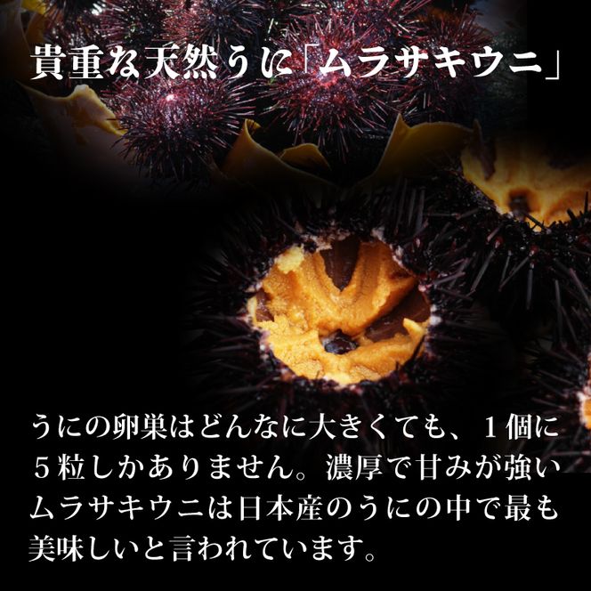 【12/24まで年内配送・年末配送可】 うにの貝焼き 150g 75g × 2個 焼きウニ 無添加 天然 ムラサキウニ 魚貝類 ウニ うに 焼きうに 加工品 惣菜 [56500611_2]