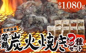 宮崎「宮崎肉魚青木」県産 若鶏 炭火焼き 3種 1.08kg（120g×9袋：しお5みそ2辛みそ2）_M210-004_03