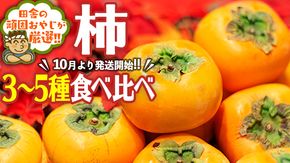 柿 はこれだっぺセット【 令和6年10月より発送開始 】 田舎の頑固おやじが厳選 ！ [BI39-NT]