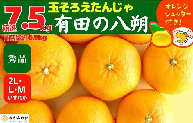 八朔 (はっさく) 玉ぞろい 箱込 7.5kg(内容量約 6.8kg) 2L L Mサイズのいずれか 秀品 優品 混合 和歌山県産  産地直送【おまけ付き】【みかんの会】 AX232