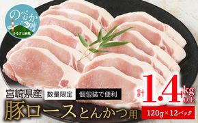 〈数量限定・個包装で便利〉宮崎県産豚ロースとんかつ用　120g×12パック  計1.4kg以上 N124-YZA2230