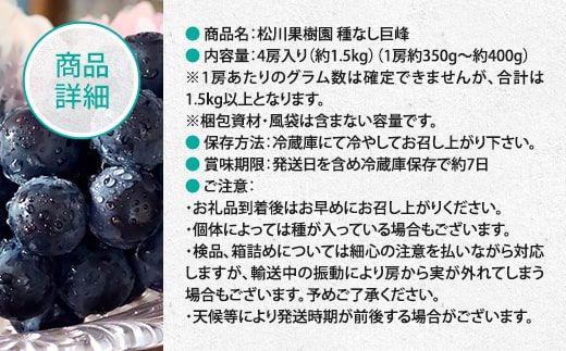 種なし巨峰 4房入り 1.5kg 松川果樹園  先行予約 2025年8月上旬より順次発送 AE02