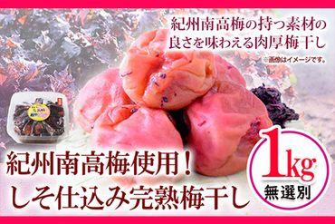 紀州南高梅使用しそ仕込み完熟梅干し1kg(無選別) 紀の川市厳選館《30日以内に出荷予定》 しそ 1kg 厳選館---wsk_tmumesm_30d_22_12000_1kg---