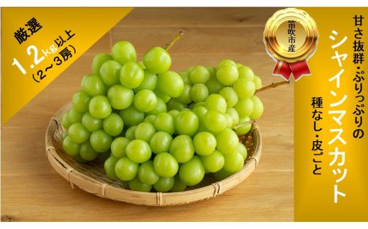 【2026年発送★先行予約】甘さ抜群プリプリ　シャインマスカット　2～3房　1.2kg以上 168-001-26y