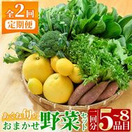 ＜定期便・全2回(6月・11月)＞あくね旬の野菜おまかせセット(5～8品目) 小松菜、レタス、青梗菜の3品目とその他野菜2品目以上を詰め合わせて全2回お届け！ ふるさと納税 阿久根市 特産品 野菜 お楽しみ さつまいも 芋【合同会社グッドフィールド】akn056-19