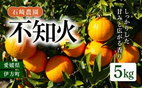 【先行予約】【数量限定】不知火5kg【石崎農園】｜柑橘 みかん ミカン 蜜柑 デコポン 果物 フルーツ 愛媛県産 ※離島への配送不可 ※2025年2月中旬頃より順次発送予定