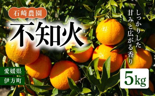 【先行予約】【数量限定】不知火5kg【石崎農園】｜柑橘 みかん ミカン 蜜柑 デコポン 果物 フルーツ 愛媛県産 ※離島への配送不可 ※2025年2月中旬頃より順次発送予定