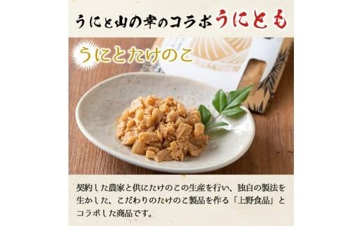 ＜鹿児島県産うに使用＞ご飯のお供「うにとも」うにとたけのこ(50g×4袋)国産 ウニ 雲丹 タケノコ 筍 おかず 惣菜 常温【尾塚水産】a-12-143