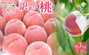 ＜25年発送先行予約＞笛吹市産　訳あり桃 約3kg（7～12玉） 205-003