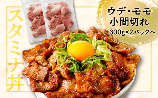 【ナンチクファクトリー】豚肉バラエティーセット ＜内容量が選べる＞ 計1.6kg～　K073-001