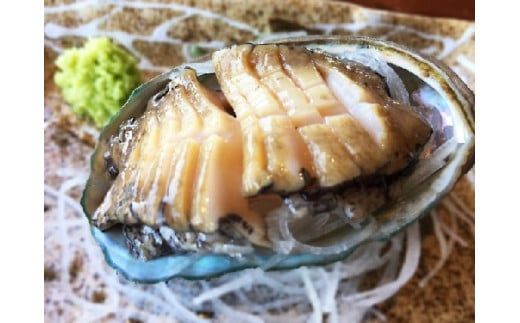 【訳あり】【配送日・曜日指定不可】【数量限定】三陸産 活アワビ 約1kg (6～10個) 【0tsuchi00962】【08】