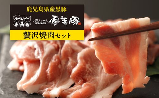 鹿児島県産黒豚　「優美豚」　贅沢セット（焼肉）【M637】