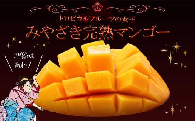 数量限定 おがたのマンゴー ご自宅用カット済完熟冷凍マンゴー 400g 小分けパック のし対応可_M161-012_01
