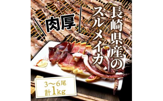 サイズは不揃いでも味は絶品!肉厚するめ烏賊一夜干し_1511R