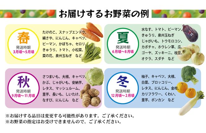 099H2491 新鮮 野菜セット 詰め合わせ 10種類 国産 旬 お試し おまかせ お楽しみ