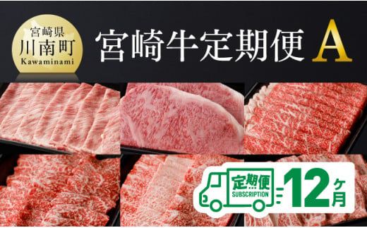 [定期便]宮崎牛12ヶ月定期便A [ 国産 九州産 肉 牛 宮崎県産 牛肉 黒毛和牛 ミヤチク 全12回 ][D00674t12]