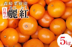 BD021 森崎果樹園自慢の『麗紅（れいこう）』5kg [みかん ミカン れいこう 麗紅 5キロ 果物 森崎果樹園 長崎県 島原市]