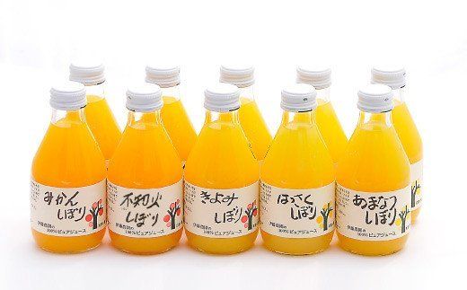305. 伊藤農園100％ピュアジュース10本 ギフトセット(A305-1)