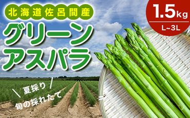 【夏採り】 グリーンアスパラ 1.5kg（L～3L）旬の採れたて 北海道 佐呂間産 （2024年7月出荷開始先行予約） SRMM005
